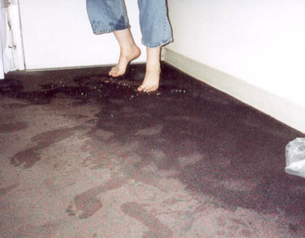 carpet cleaner